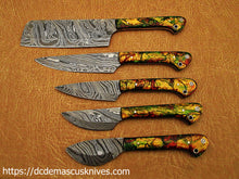 Load image into Gallery viewer, Custom  Made Damascus Steel Chef Knife Set.CH-65
