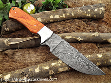 Load image into Gallery viewer, Custom Made Damascus Steel Skinner Knife.SK-137
